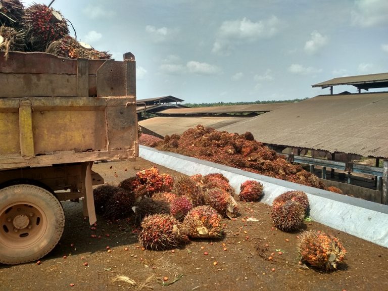Astra Agro