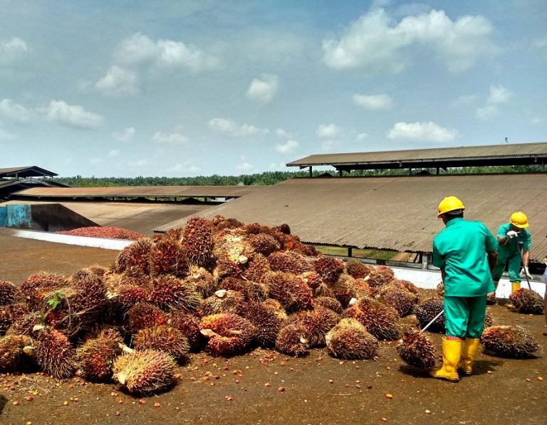Industri Sawit
