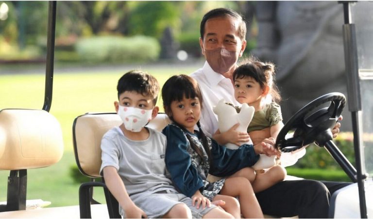 Jokowi dan cucu