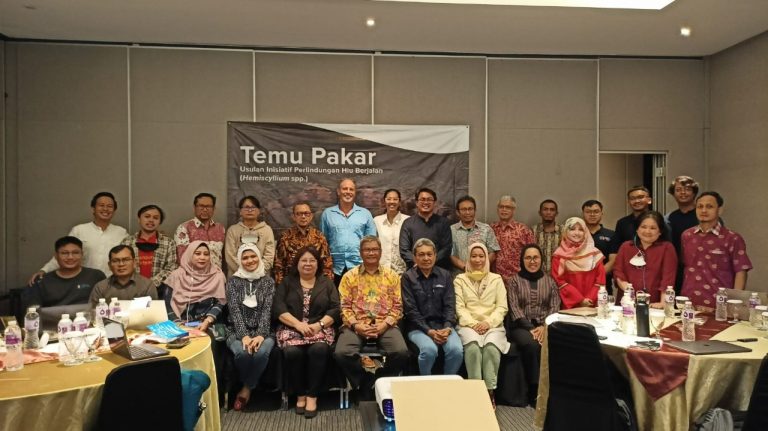 KKP lindungi hiu berjalan