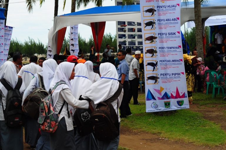 KOMPAK dan penyu