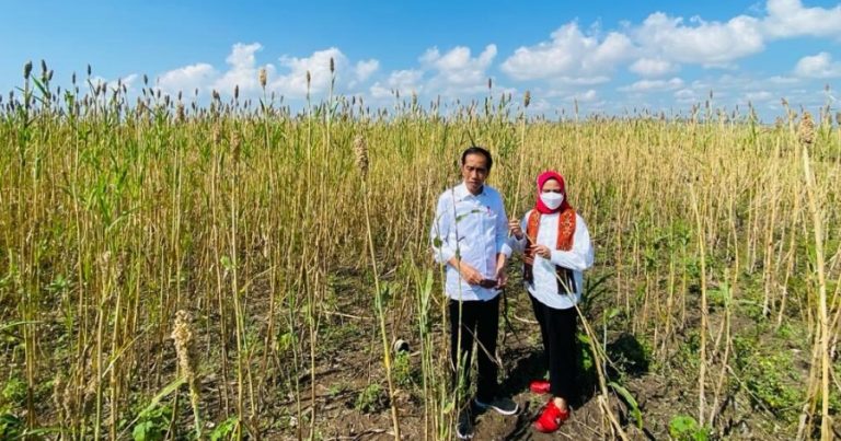 Presiden di Sumba Timur