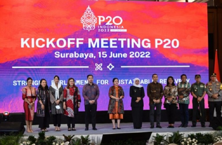 Puan dan P20