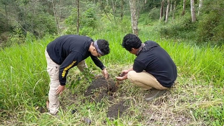Komunitas Koloni Menanam tanam beringin di Merapi