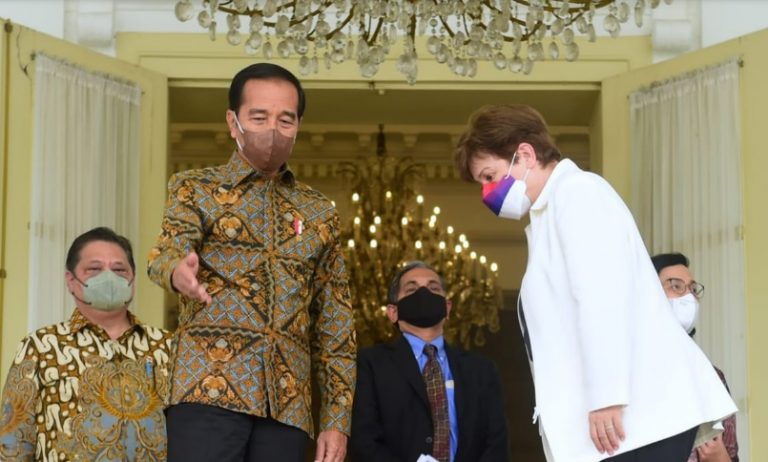 Jokowi terima delegasi IMF