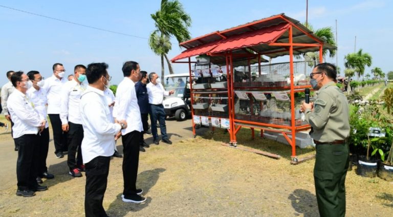 Presiden ke Subang