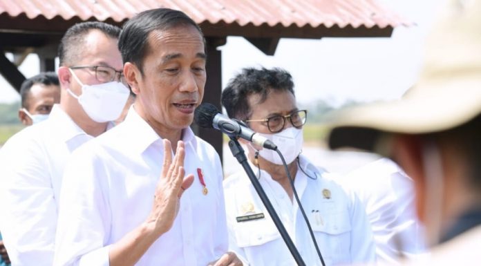 Jokowi soal Pintauli