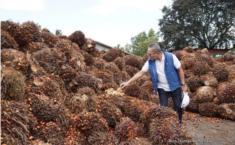 Mendag Zulhas dan sawit