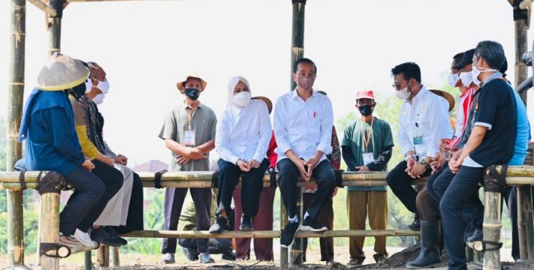 Presiden dan petani kelapa genjah