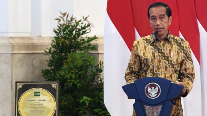 Jokowi soal ketahanan pangan