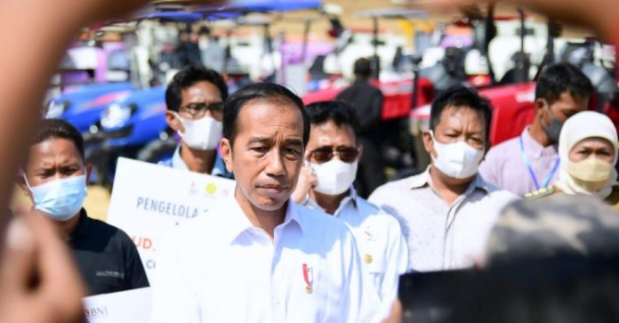 Presiden resmikan food estate di Gresik