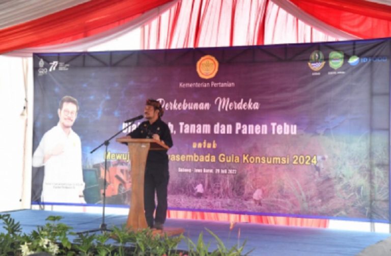 Mentan SYL soal gula