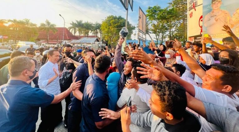 Presiden Jokowi ke Sultra