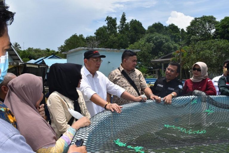 KKP Gencarkan Quality Assurance Benih Ikan untuk Dongkrak Produktivitas Pembudidaya (1)