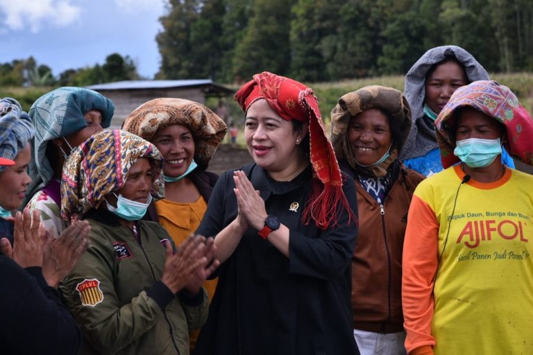 Ketua DPR RI Puan Maharani