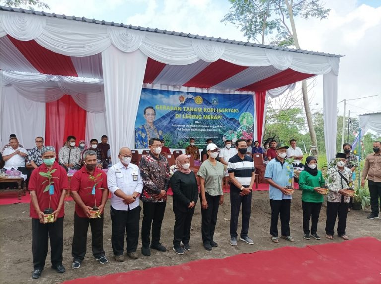 Sri Sultan tanam kopii di lerang Merapi