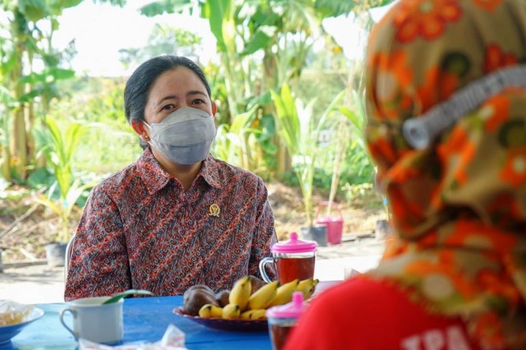 Ketua DPR RI Puan Maharani