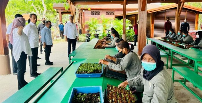 Presiden Joko Widodo meninjau Taman Hutan Raya (Tahura) Ngurah Rai, Kota Denpasar, Selasa (8/11/2022)