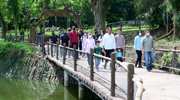 Presiden Jokowi Tinjau Progres Revitalisasi Solo Safari