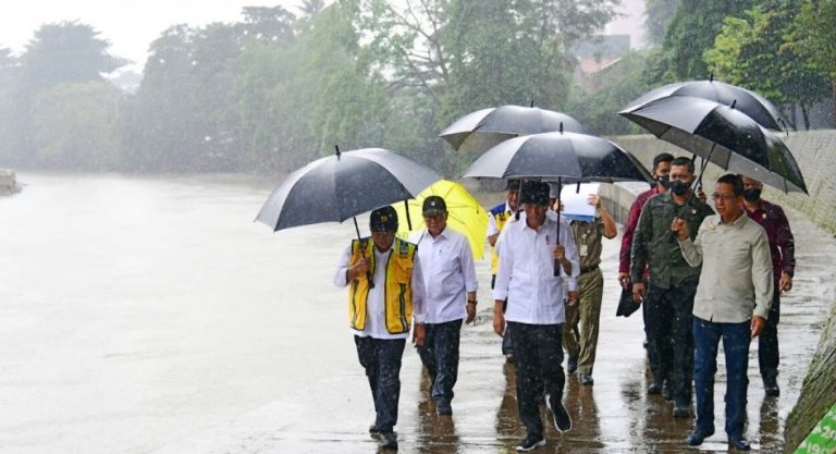 Presiden: Segera Lanjutkan Kembali Normalisasi Kali Ciliwung