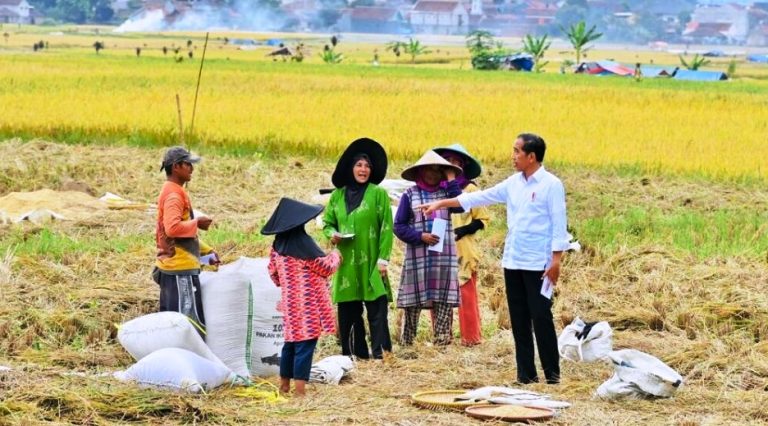 Hampiri Petani Sedang Panen, Presiden Cek Langsung Harga Gabah