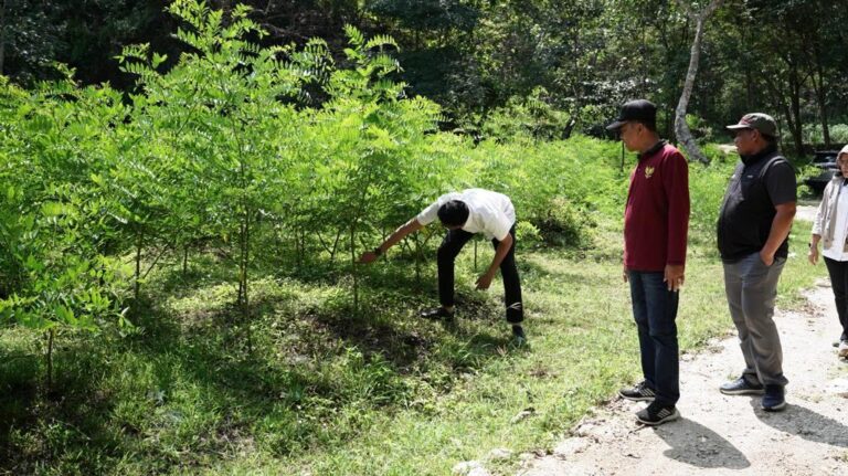 Kunjungi Gunungkidul, Marrel Singgung Siklus Tanaman Pakan, Green Energy, dan Pemanfaatan Lahan Kritis