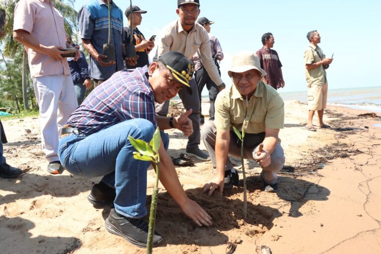 Gapki dan Kemenko Marves Tanam Mangrove 20 Ha di Kumai
