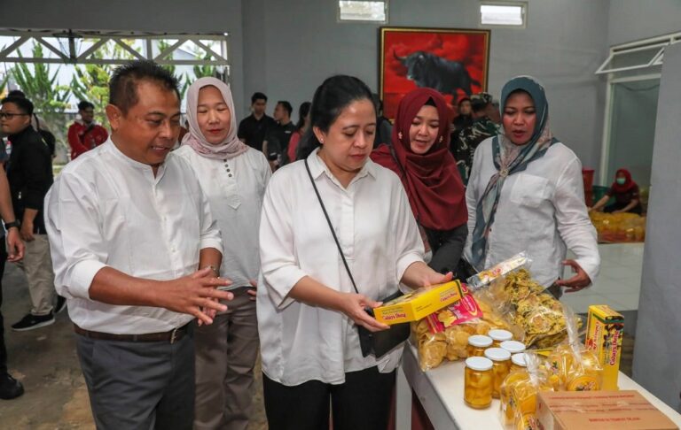 Kunjungi UMKM di Wonosobo, Puan Dorong Oleh-oleh Carica Go Internasional