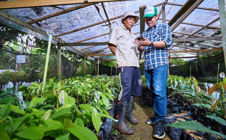 Koltiva Raih Pendanaan Seri A dari AC Ventures dan Deretan Investor Ternama