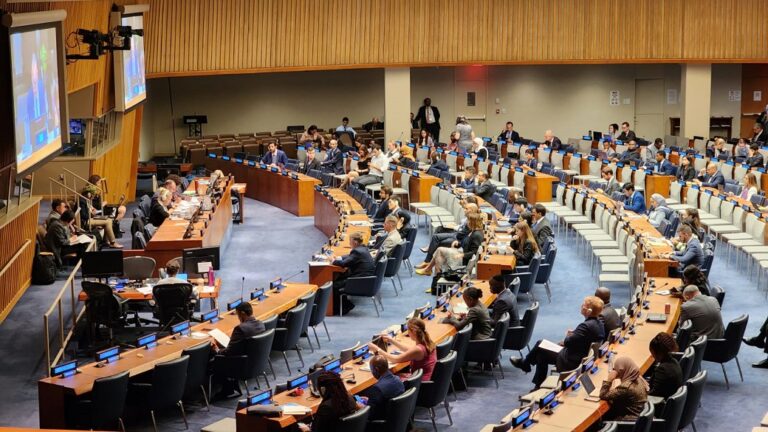Dari Sidang PBB New York: Teguh Berharap Sengketa Sahara Berakhir Segera