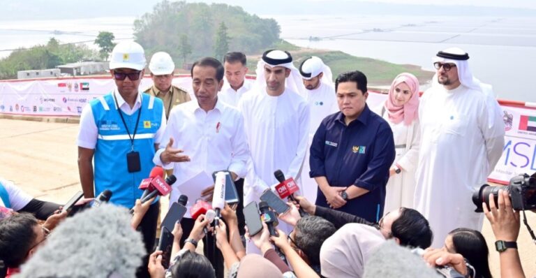 Presiden: Keberadaan PLTS Dukung Industri Energi Hijau