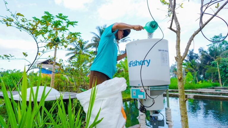 KoinWorks dan eFishery Kolaborasi Berikan Permodalan untuk UMKM Perikanan