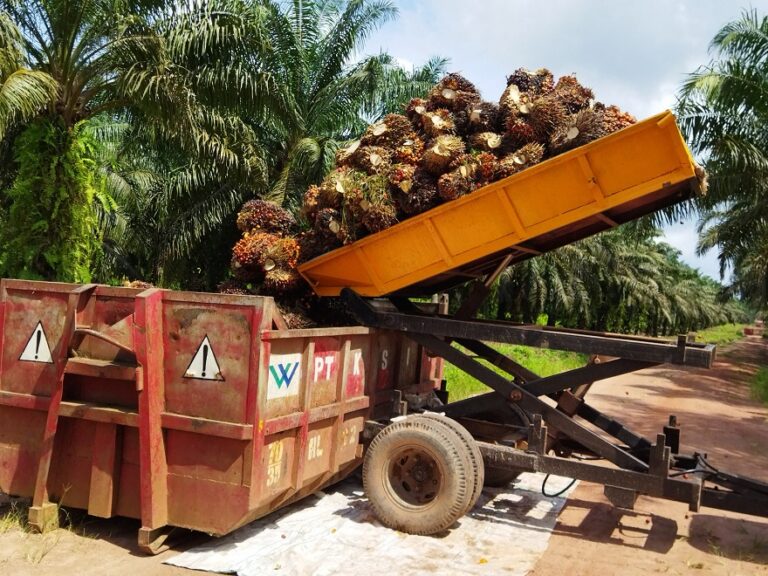 Dosen UAJY dan Instiper Kembangkan Aplikasi Transportasi untuk Kebun Sawit