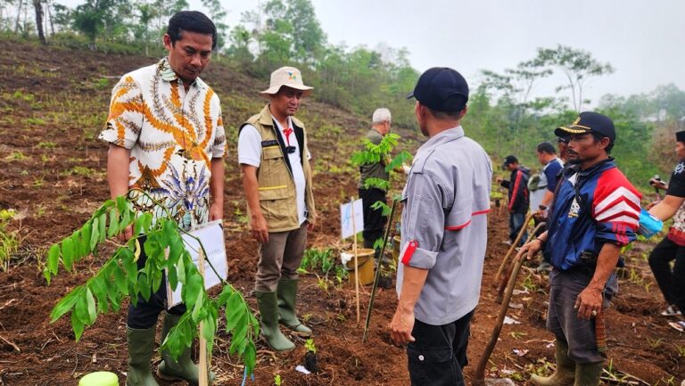 PLN EPI Gandeng Pesantren di Tasikmalaya Kembangkan Ekosistem Biomassa dengan Penanaman Indogofera di Lahan Tak Produktif
