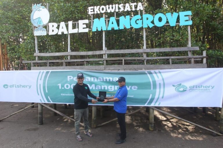 Tunjukkan Komitmen Pelestarian Lingkungan Hidup, eFishery Tanam 1.000 Mangrove di NTB