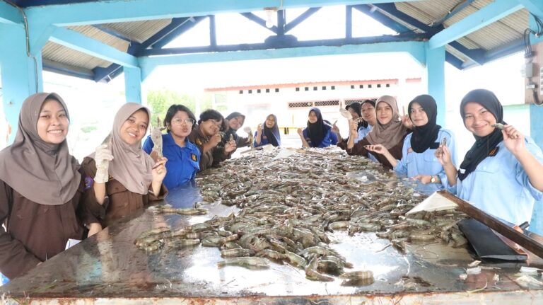 Politeknik AUP Serang Berhasil Kembangkan Budidaya Udang Vaname
