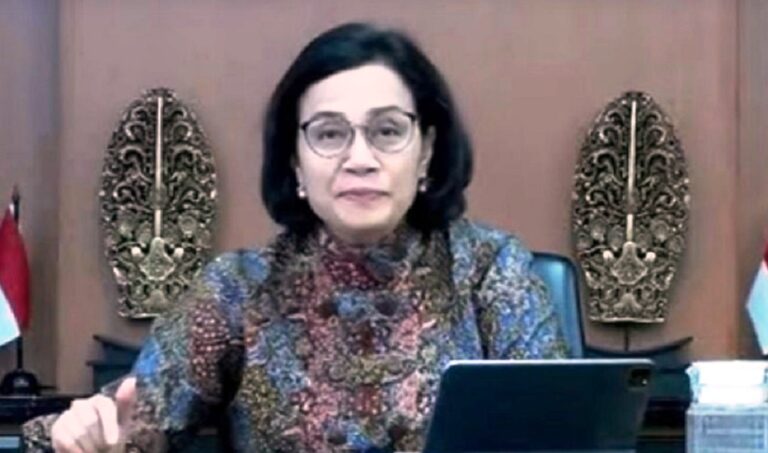 Menkeu: APBN Dukung Pertumbuhan Ekonomi Nasional dan Daerah