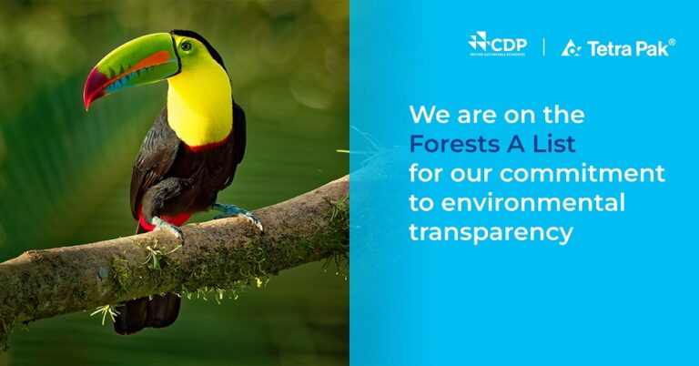 Tetra Pak Nilai ‘A’ dan Masuk Jajaran Pemimpin CDP atas Keterbukaan Informasi tentang Hutan