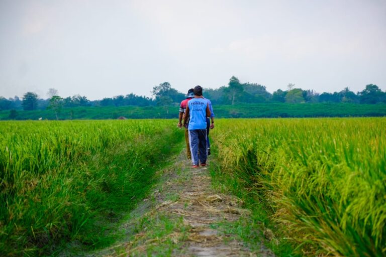 Wilmar Perkuat Kemitraan dengan Petani Lewat FEP