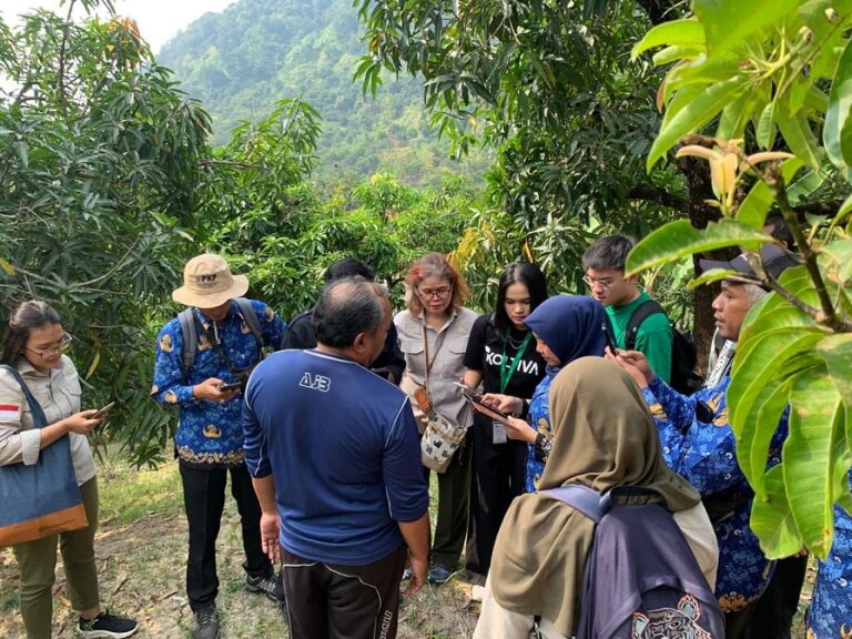 Kementan dan KOLTIVA Kembangkan Kawasan Lahan Kering Hortikultura di 7 Provinsi