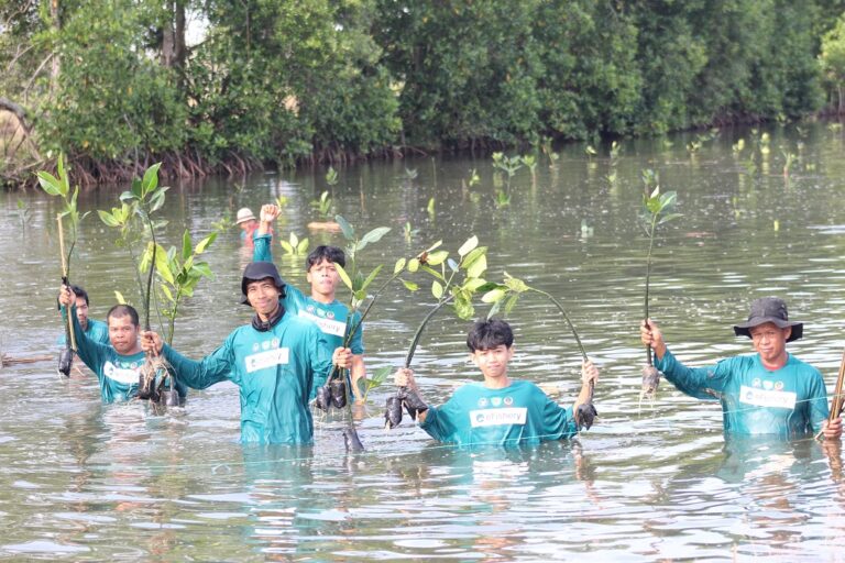 Kolaborasi eFishery dan BRPBAP3 Maros, Tanam 1.500 Mangrove di Instalasi Tambak Silvofishery Maros