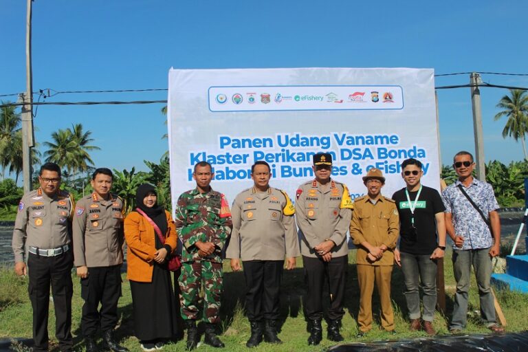 Fasilitasi Pertanian Budidaya Intensif KKP, eFishery dan Desa Bonda Panen 30 Ton Udang Vaname