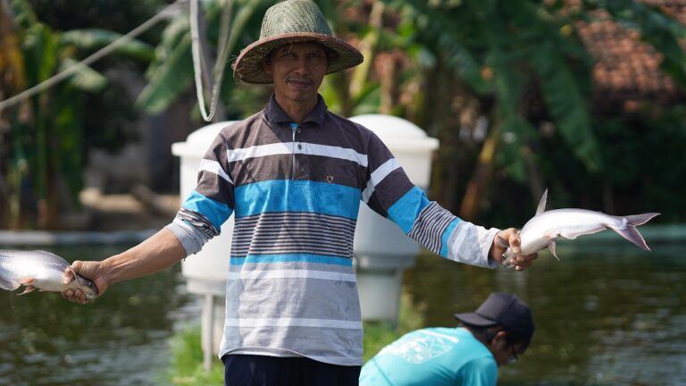 Hari Ikan Nasional 2024: Pentingnya Konsumsi Ikan Patin