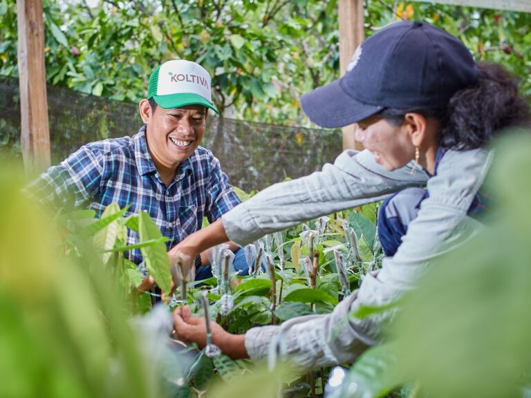 Pemasok Biji Kakao Fermentasi Kudeungoe Sugata Raih Pendanaan untuk Perkuat Rantai Pasok Berkelanjutan
