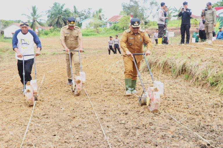 Dukung Swasembada Pangan, Grup Astra Agro Tanam Jagung Serentak