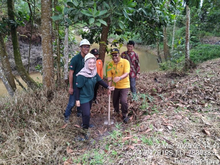 Peringati Hari Air dan Hutan Sedunia, PT GSIP-AMR Tanam Blangeran di Bantaran Sungai Kuning