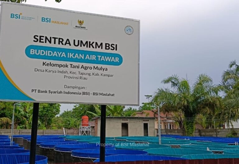 UMKM Binaan BSI Maslahat Sukses Berdayakan Mustahik Lewat Budidaya Ikan Bioflok