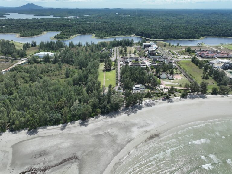 Festival Musik Elektronik Berkonsep Bioluminescence Pertama di Asia Tenggara Siap Guncang Bintan Lewat BRAVE 2025