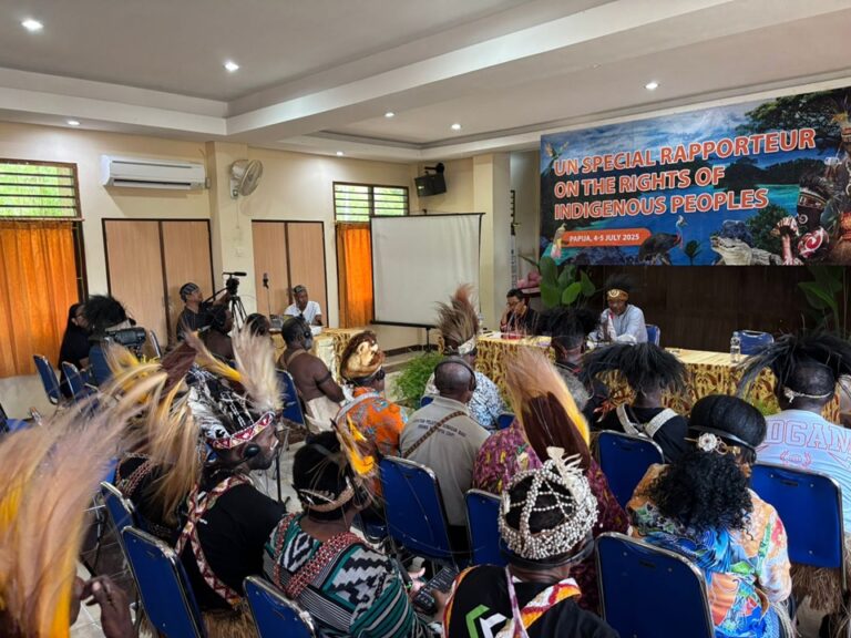 Tanah Papua Bukan Tanah Kosong, Hentikan Perampasan Wilayah Adat di Papua, Hentikan Proyek Strategis Nasional