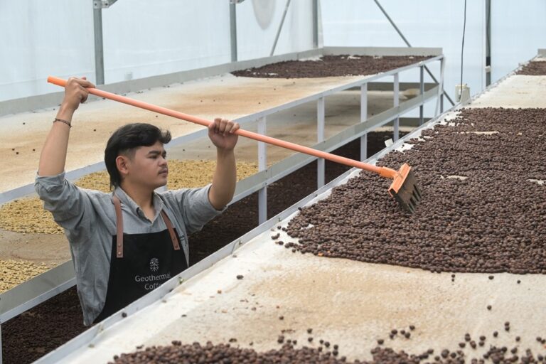 Lebih dari Kopi, Inovasi Panas Bumi PGE Sukses Bangun Ekonomi Sirkular di Kamojang